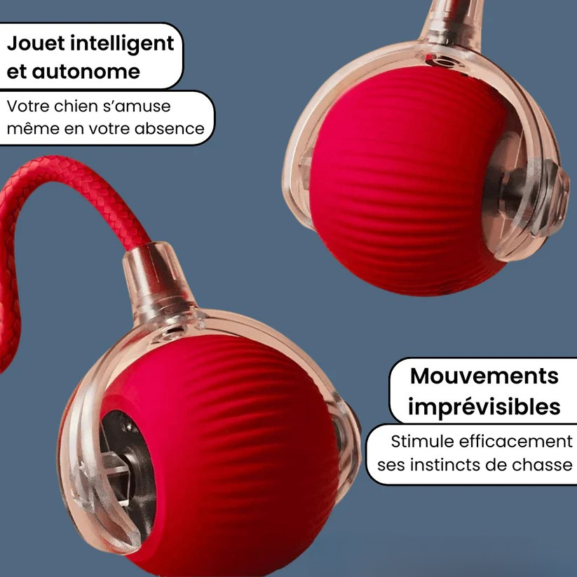 Smart Ball ™ Jouet interactif pour chien et chat