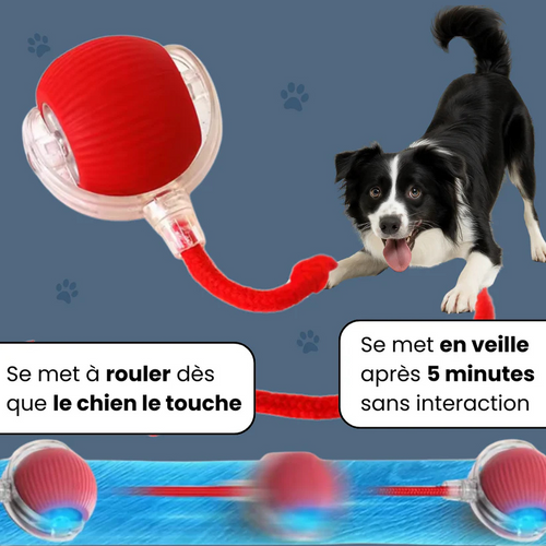 Smart Ball ™ Jouet interactif pour chien et chat